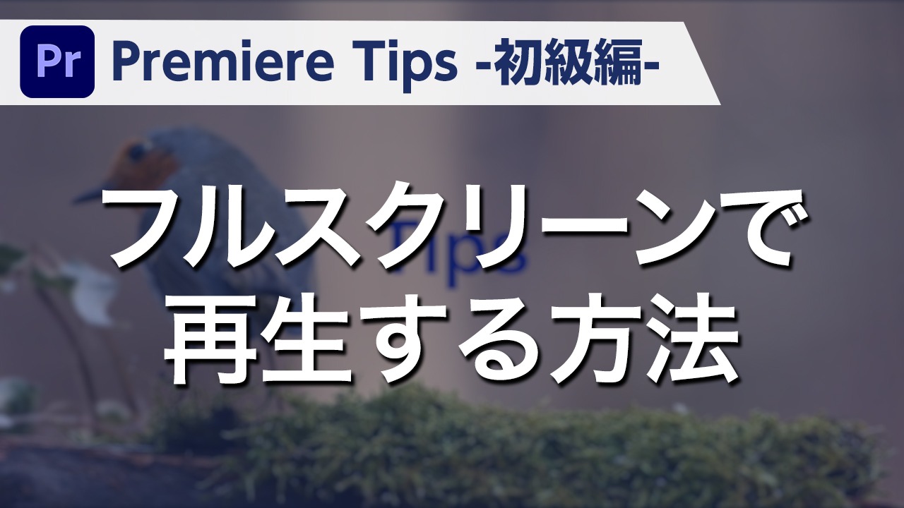 Premiere Tips -初級編- フルスクリーンで再生する方法