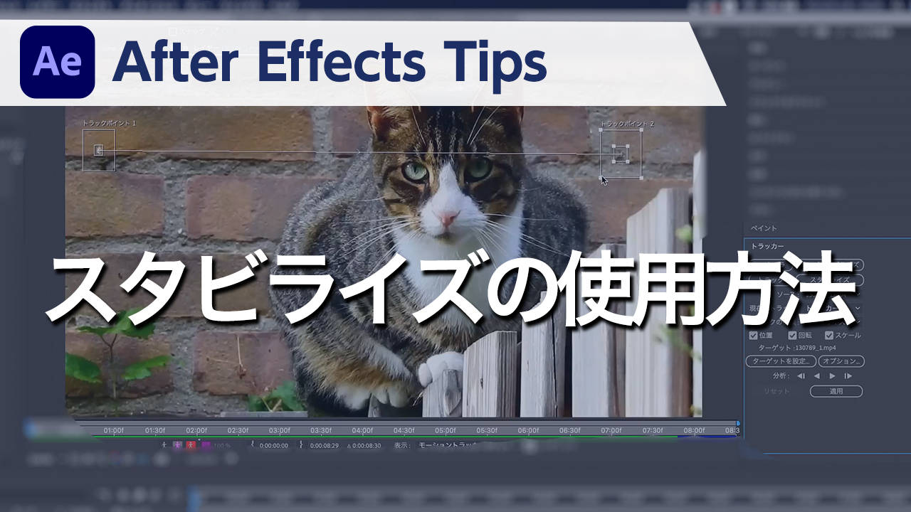 After Effects Tips スタビライズの使用方法